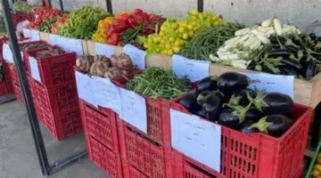 سعر الطماطم يسجل 25 جنيهًا في أسواق بورسعيد الأحد 15 مارس 2026